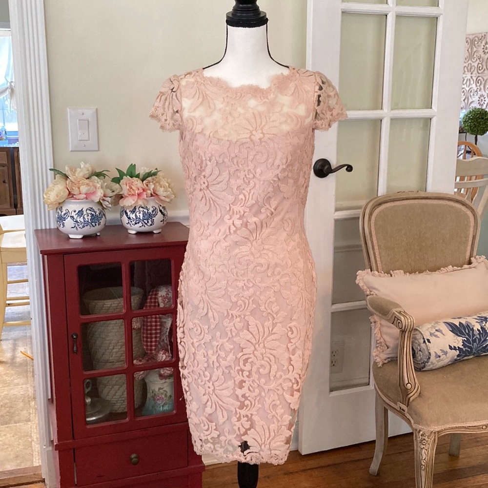 Tadashi Sochi Lace Pink Dress